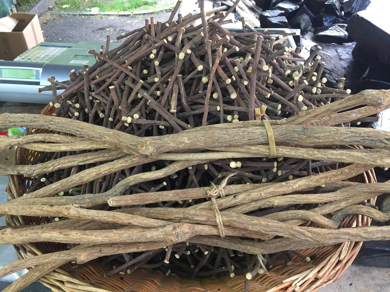 מה זה ליקוריץ?