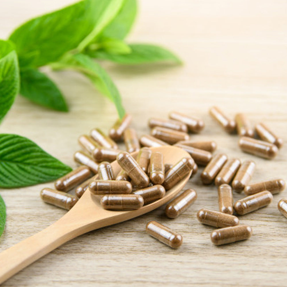 מיצוי שורש הליקוריץ+ פלוס המקורי